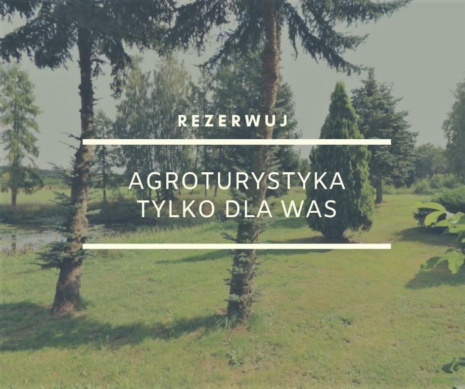 Dom Wakacyjny Z Ogromnym Ogrodem Witaszyn エクステリア 写真
